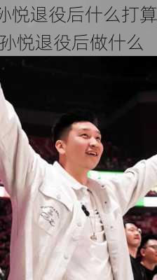 孙悦退役后什么打算,孙悦退役后做什么