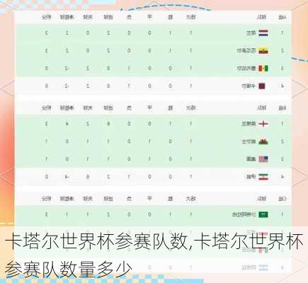 卡塔尔世界杯参赛队数,卡塔尔世界杯参赛队数量多少