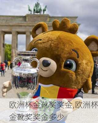 欧洲杯金靴奖奖金,欧洲杯金靴奖奖金多少