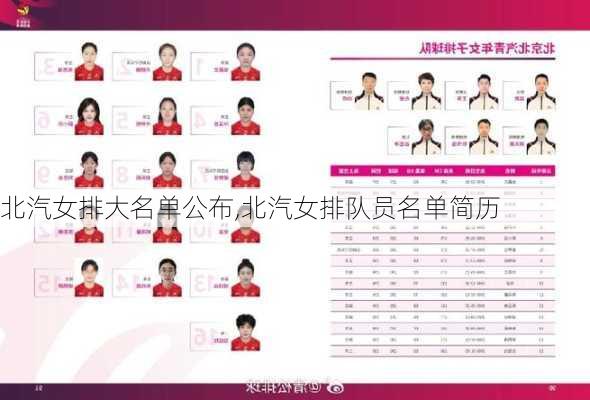 北汽女排大名单公布,北汽女排队员名单简历