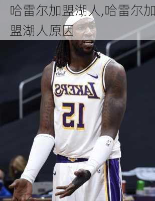 哈雷尔加盟湖人,哈雷尔加盟湖人原因