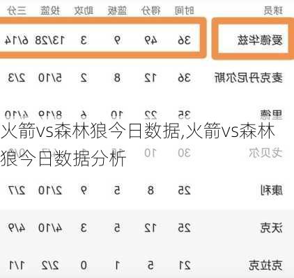 火箭vs森林狼今日数据,火箭vs森林狼今日数据分析