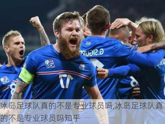 冰岛足球队真的不是专业球员吗,冰岛足球队真的不是专业球员吗知乎
