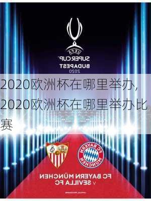 2020欧洲杯在哪里举办,2020欧洲杯在哪里举办比赛