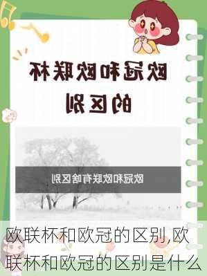 欧联杯和欧冠的区别,欧联杯和欧冠的区别是什么