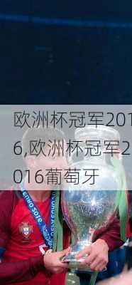 欧洲杯冠军2016,欧洲杯冠军2016葡萄牙