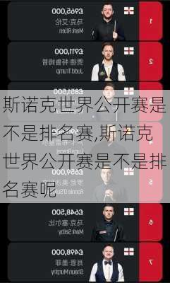 斯诺克世界公开赛是不是排名赛,斯诺克世界公开赛是不是排名赛呢