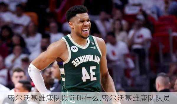密尔沃基雄鹿队以前叫什么,密尔沃基雄鹿队队员