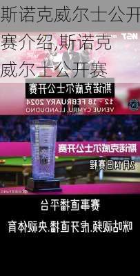 斯诺克威尔士公开赛介绍,斯诺克 威尔士公开赛