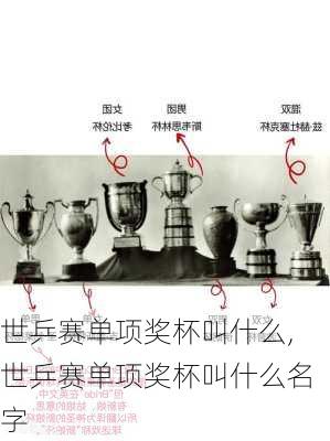 世乒赛单项奖杯叫什么,世乒赛单项奖杯叫什么名字