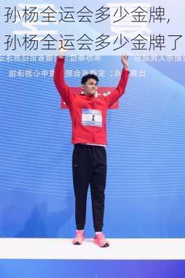 孙杨全运会多少金牌,孙杨全运会多少金牌了