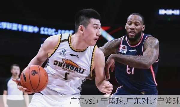 广东vs辽宁篮球,广东对辽宁篮球