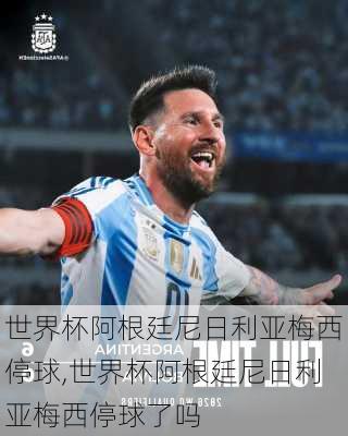 世界杯阿根廷尼日利亚梅西停球,世界杯阿根廷尼日利亚梅西停球了吗