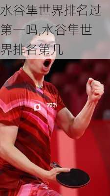 水谷隼世界排名过第一吗,水谷隼世界排名第几