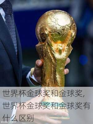 世界杯金球奖和金球奖,世界杯金球奖和金球奖有什么区别