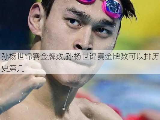 孙杨世锦赛金牌数,孙杨世锦赛金牌数可以排历史第几