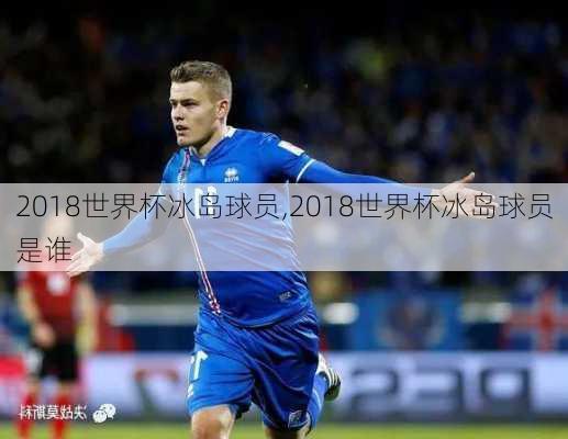 2018世界杯冰岛球员,2018世界杯冰岛球员是谁