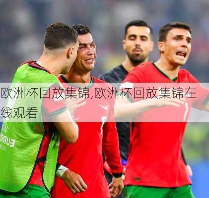 欧洲杯回放集锦,欧洲杯回放集锦在线观看