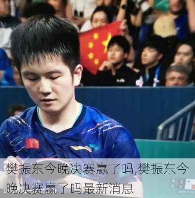 樊振东今晚决赛赢了吗,樊振东今晚决赛赢了吗最新消息