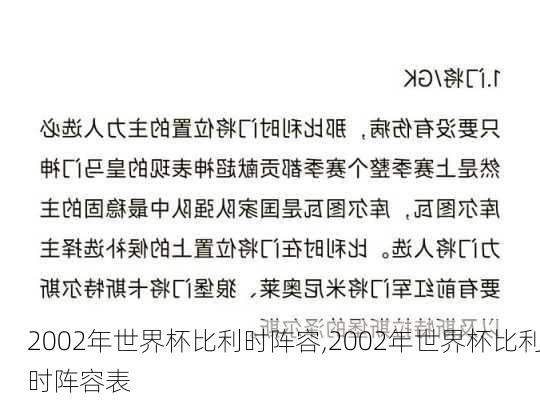 2002年世界杯比利时阵容,2002年世界杯比利时阵容表