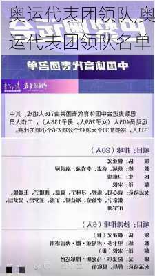 奥运代表团领队,奥运代表团领队名单