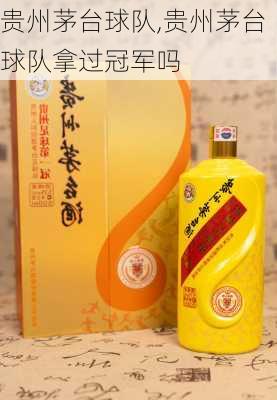 贵州茅台球队,贵州茅台球队拿过冠军吗
