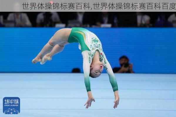 世界体操锦标赛百科,世界体操锦标赛百科百度