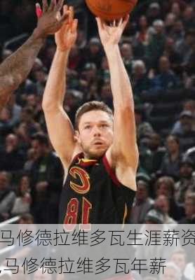 马修德拉维多瓦生涯薪资,马修德拉维多瓦年薪
