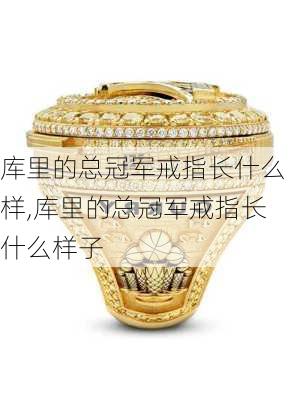 库里的总冠军戒指长什么样,库里的总冠军戒指长什么样子