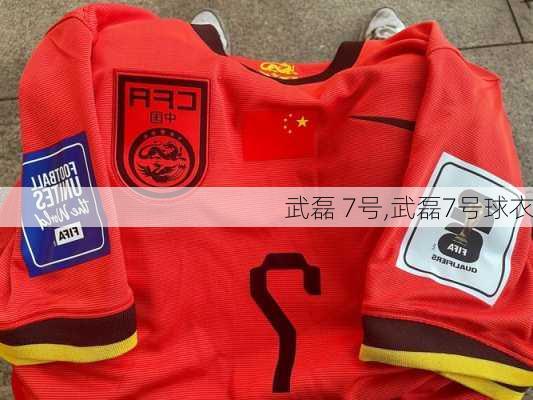 武磊 7号,武磊7号球衣