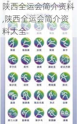 陕西全运会简介资料,陕西全运会简介资料大全