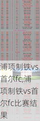 浦项制铁vs首尔fc,浦项制铁vs首尔fc比赛结果
