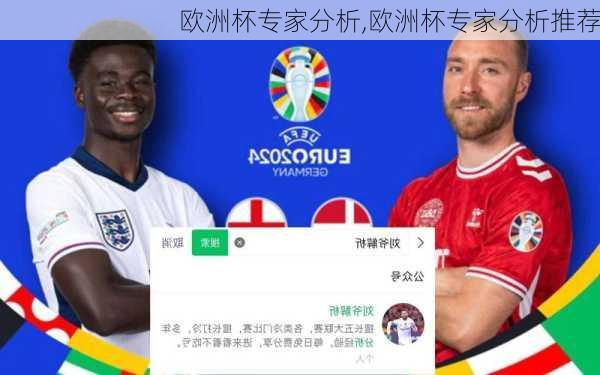 欧洲杯专家分析,欧洲杯专家分析推荐