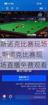 斯诺克比赛现场,斯诺克比赛现场直播免费观看