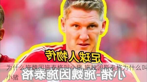 为什么施魏因施泰格叫小猪,施魏因斯泰格为什么叫小猪