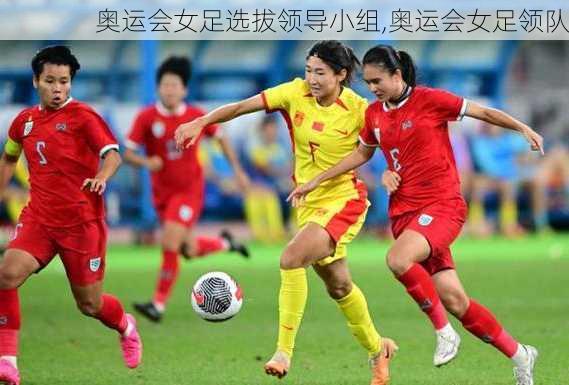 奥运会女足选拔领导小组,奥运会女足领队