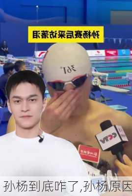孙杨到底咋了,孙杨原因
