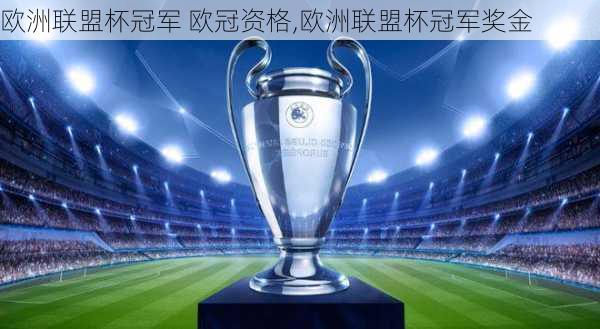欧洲联盟杯冠军 欧冠资格,欧洲联盟杯冠军奖金