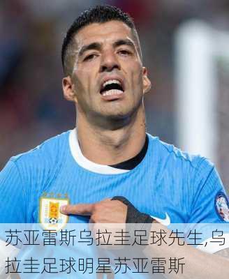 苏亚雷斯乌拉圭足球先生,乌拉圭足球明星苏亚雷斯