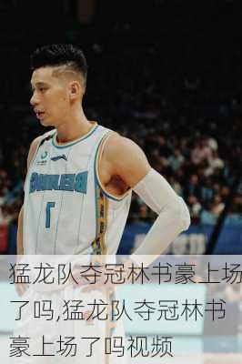 猛龙队夺冠林书豪上场了吗,猛龙队夺冠林书豪上场了吗视频
