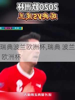 瑞典波兰欧洲杯,瑞典 波兰 欧洲杯