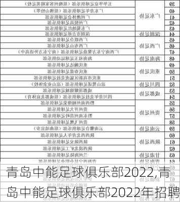 青岛中能足球俱乐部2022,青岛中能足球俱乐部2022年招聘