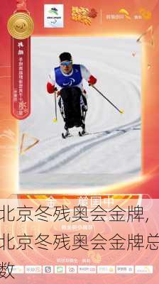 北京冬残奥会金牌,北京冬残奥会金牌总数