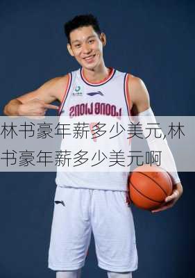 林书豪年薪多少美元,林书豪年薪多少美元啊