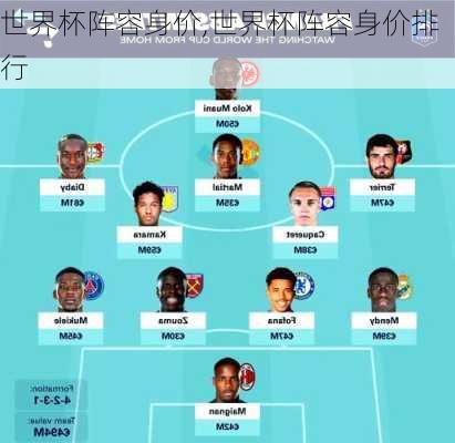 世界杯阵容身价,世界杯阵容身价排行