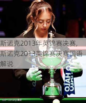 斯诺克2013年英锦赛决赛,斯诺克2013英锦赛决赛国语解说
