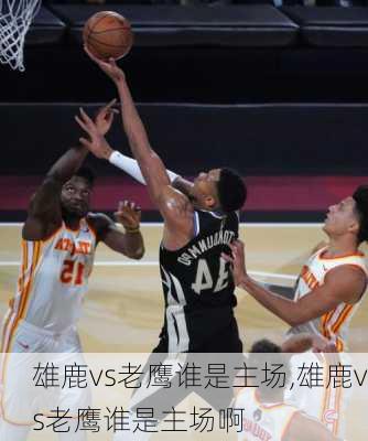 雄鹿vs老鹰谁是主场,雄鹿vs老鹰谁是主场啊