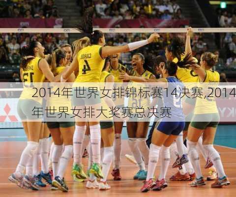 2014年世界女排锦标赛14决赛,2014年世界女排大奖赛总决赛