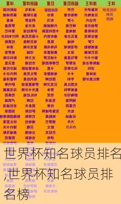 世界杯知名球员排名,世界杯知名球员排名榜