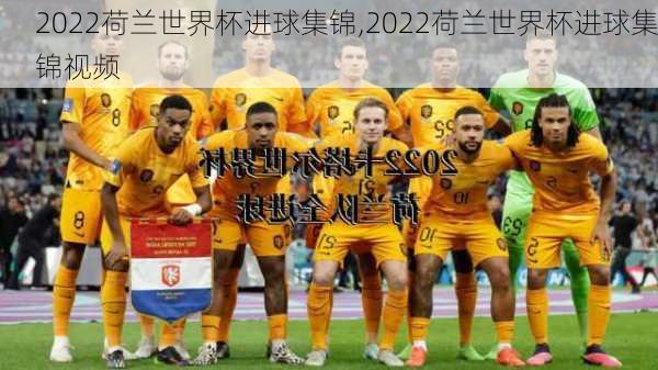 2022荷兰世界杯进球集锦,2022荷兰世界杯进球集锦视频